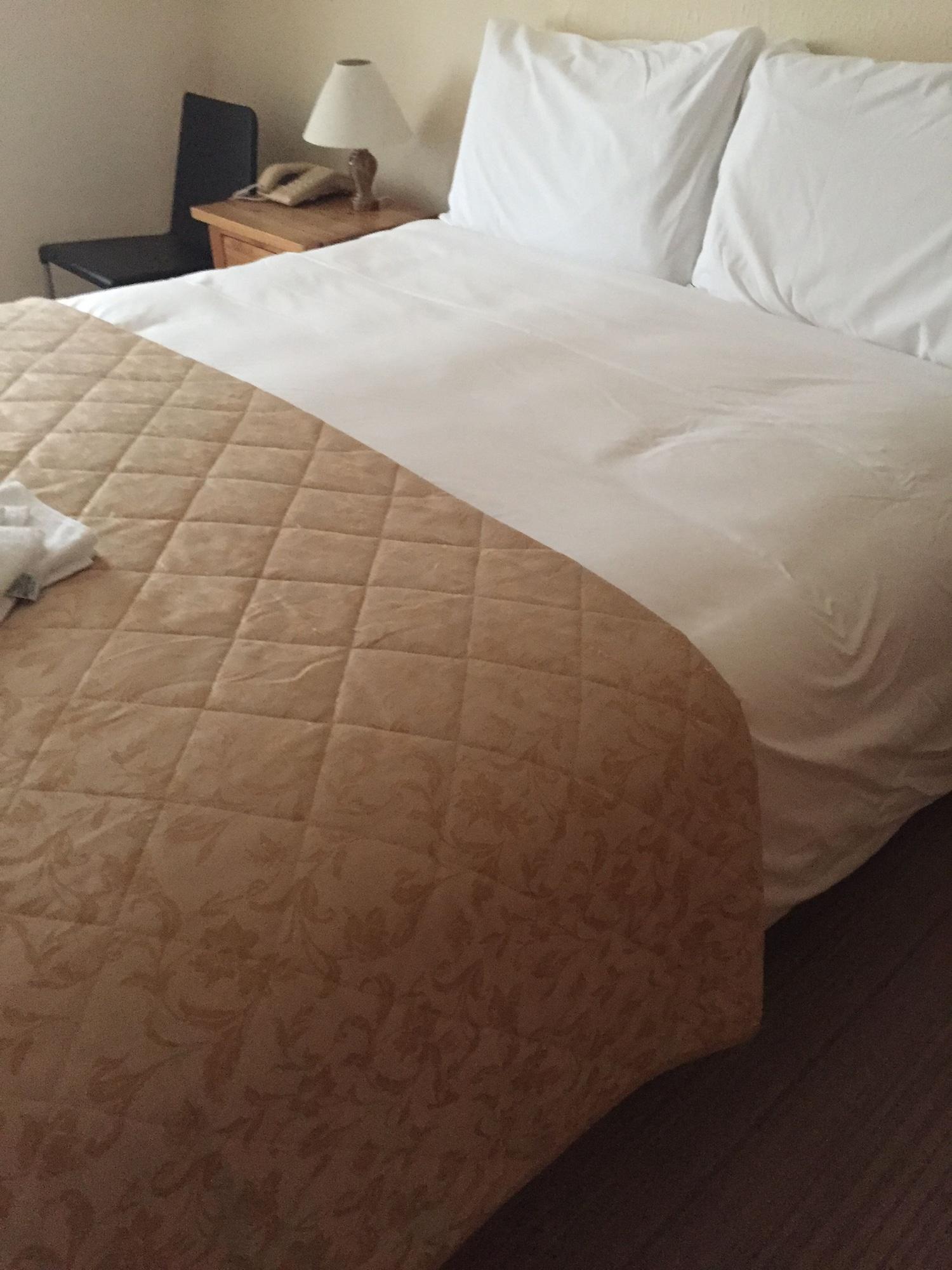Carlton Hotel Ilfracombe Eksteriør billede